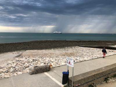 La Terrasse De Notre Dame Apartment Le Havre Ngoại thất bức ảnh